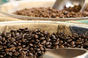 Kaffeebohnen - Zutat für den Barista