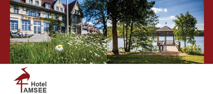 Afbeeldingsresultaat voor Hotel Amsee in Waren(Müritz)